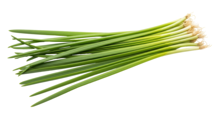Isolated Fresh Green Chives Bunch