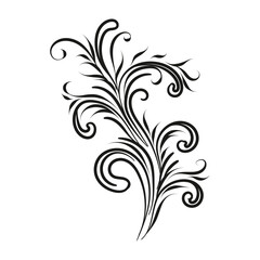 Decorative floral vector ornament on white background