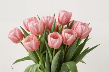 Fototapeta premium A bunch of lovely pink tulips arranged together