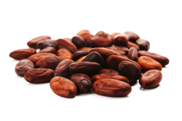 the whispering secrets of the cocoa beans isolated on white background png, ai generated.