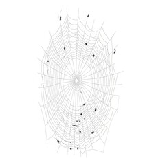 Obraz premium Abstract textured fingerprint pattern isolated on white background