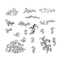 Decorative floral vector ornament on white background