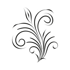 Decorative floral vector ornament on white background