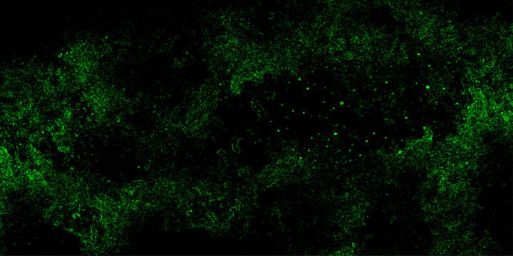 Abstract black and green grunge texture background. Dark toxic smoke pattern vector. Horror radioactive dust illustration for gaming banner or halloween wallpaper.