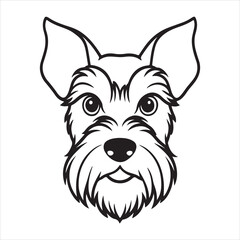 A Dapper Portrait of a Miniature Schnauzer, a Playful and Intelligent Breed with a Distinctive Beard and Eyebrows