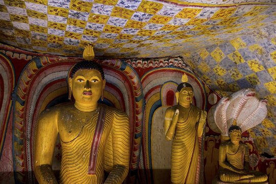 Buddha statues and murals in Dambulla Cave Temple, Dambulla, Sri Lanka