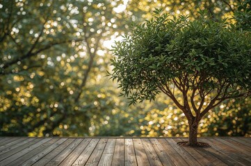Soft orange sunlight filtering through trees with green bokeh and wooden deck background