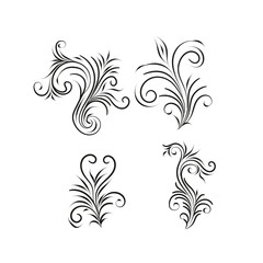 Decorative floral vector ornament on white background
