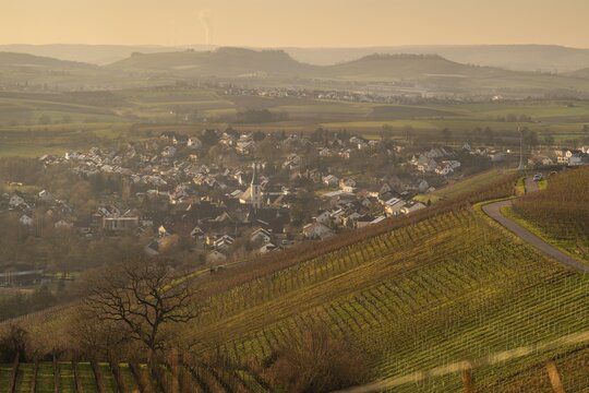 Vineyards and the village of Michelbach in autumn, Hohenlohe, Baden-W&uuml;rttemberg, Germany