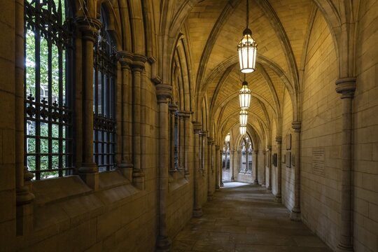 Illuminated neo-Gothic archway, St Mary Abbot Church, Kensington, London, England, Great Britain
