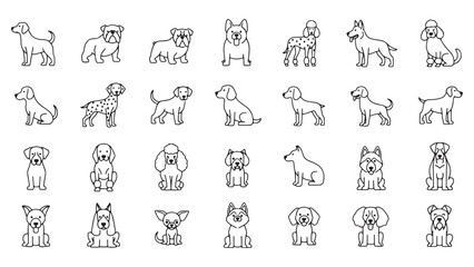 Dog Breeds line icon set. Vector pictograms of labrador, golden retriever, german shepherd, bulldog, beagle, poodle, dachshund, pug, shih tzu, maltese, yorkshire terrier thin linear illustration.