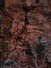 rocks along a fault line