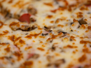 close-up of vegetable pizza