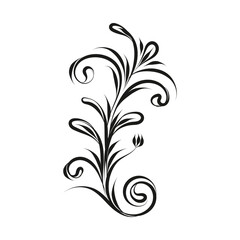 Decorative floral vector ornament on white background