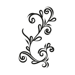 Decorative floral vector ornament on white background