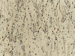 Arid desert plain and dried-up riverbeds with sparse vegetation. Aerial view. Drone shot. Namibia