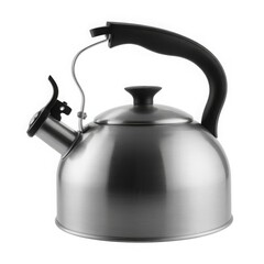 Brushed metal stovetop kettle with black handle stainless steel