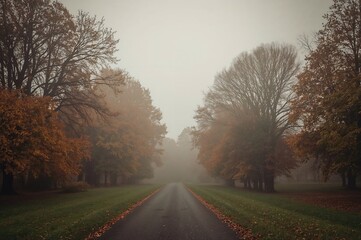 Obraz premium Foggy park pathway in autumn following rainfall with vintage trees and grass landscape