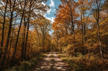 Obraz premium Vertical daytime photo of a slim trail in a forest