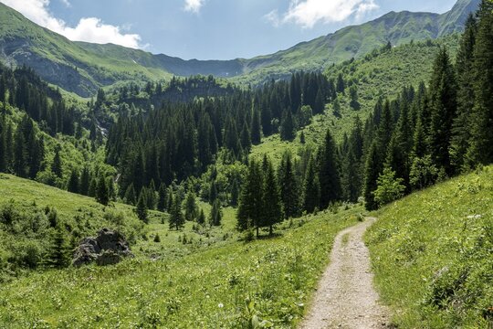Hiking trail to the Hochalp Pass, B&auml;rgunttal, near Baad, Kleinwalsertal, Allg&auml;u Alps, Vorarlberg, Austria