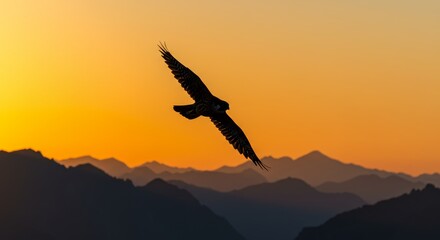 Naklejka premium A lone hawk soars gracefully across a vivid sunset sky, mountains beneath