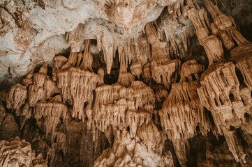 Intricate straw-like structures discovered within a sinter cave in a karst region.