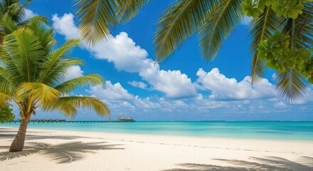 Fototapeta premium Tranquil tropical beach scene with palm trees and clear turquoise water under a partly cloudy sky.