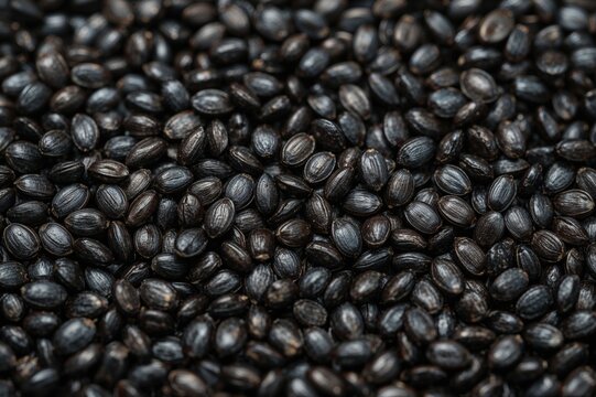 Detailed view of tasty black sunflower seeds on a white backdrop