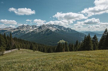 Fototapeta premium During warm seasons, I enjoy journeying through stunning snowy peaks, dense verdant woods, and expansive meadows, fully embracing the wonders of the natural world.