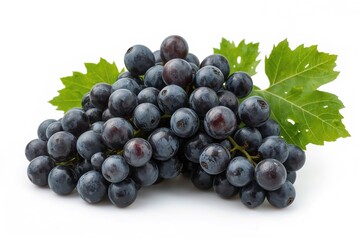 Fototapeta premium Assortment of Black Grapes with Foliage, Set Against a White Backdrop