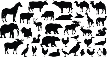 Animal silhouette collection, horse, cow, bear, camel, giraffe, deer, moose, bird, vector illustration, black silhouettes, white background
