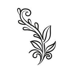 Decorative floral vector ornament on white background