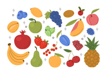 Fruits and berries set. Grapefruit, mango, plum, apricot, blueberry assortment collection. Fruit harvesting concept. Vector illustration.