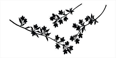 Black Silhouette Branches With Small Flowers On White Background Keywords: silhouette, branch, floral