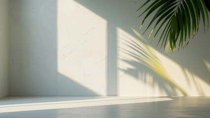 Fototapeta premium Minimalist Design with Natural Light and Palm Shadows