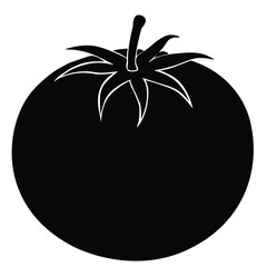 tomato silhouette vector illustration on white