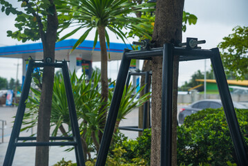 Steel tree supports provide stability to trees in outdoor landscaping. Support systems help preserve trees, create sustainable gardens, and provide expertise in tree care, health and beauty.