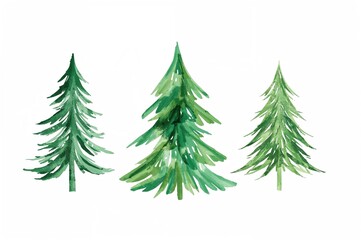 Obraz premium Set of three brush-painted Christmas trees on a clean white backdrop