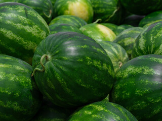 organic watermelons at market