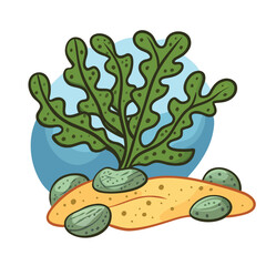 Green seaweed with pebbles on sand under blue water vector