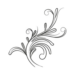 Decorative floral vector ornament on white background