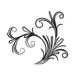 Decorative floral vector ornament on white background