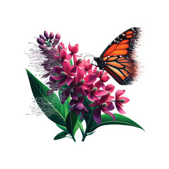 Botanical vector art illustration depicting a Monarch butterfly 