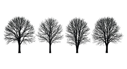Four detailed black and white artistic depictions of bare deciduous trees in winter landscape vector