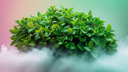 Fototapeta premium Vibrant Green Bush Emerging from Soft Cloud Background