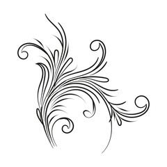 Decorative floral vector ornament on white background