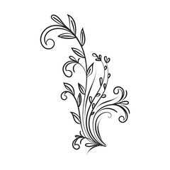 Decorative floral vector ornament on white background