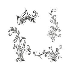 Decorative floral vector ornament on white background