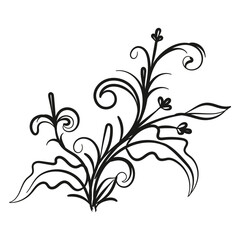 Decorative floral vector ornament on white background