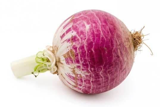 Winter season vegetable known as Brassica rapa with purple, pink, and white hues on a white backdrop